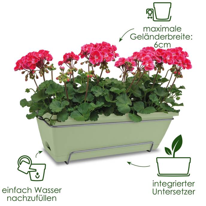 barcelona allin1 50cm ahorn lila